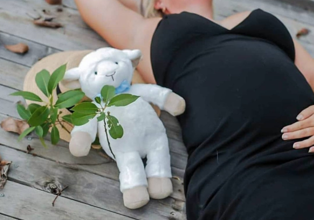 Ditto the Heartbeat Lamb (Includes 20 Second Heart Module)