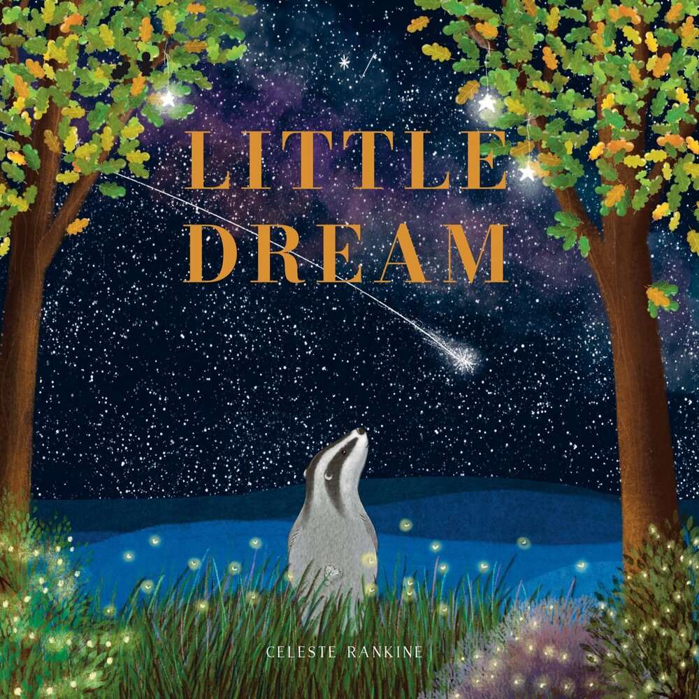 Little Dream