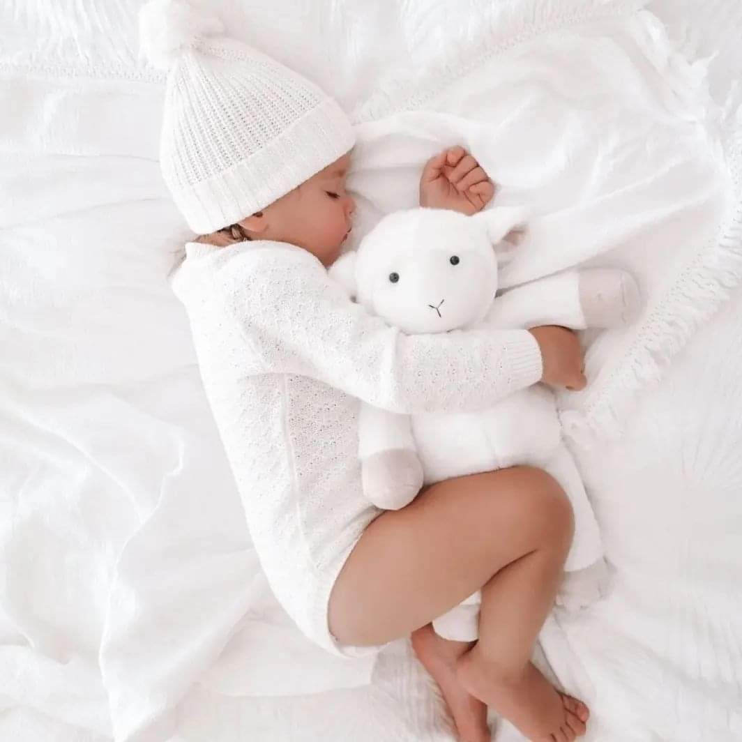 Ditto the Heartbeat Lamb (Includes 20 Second Heart Module)