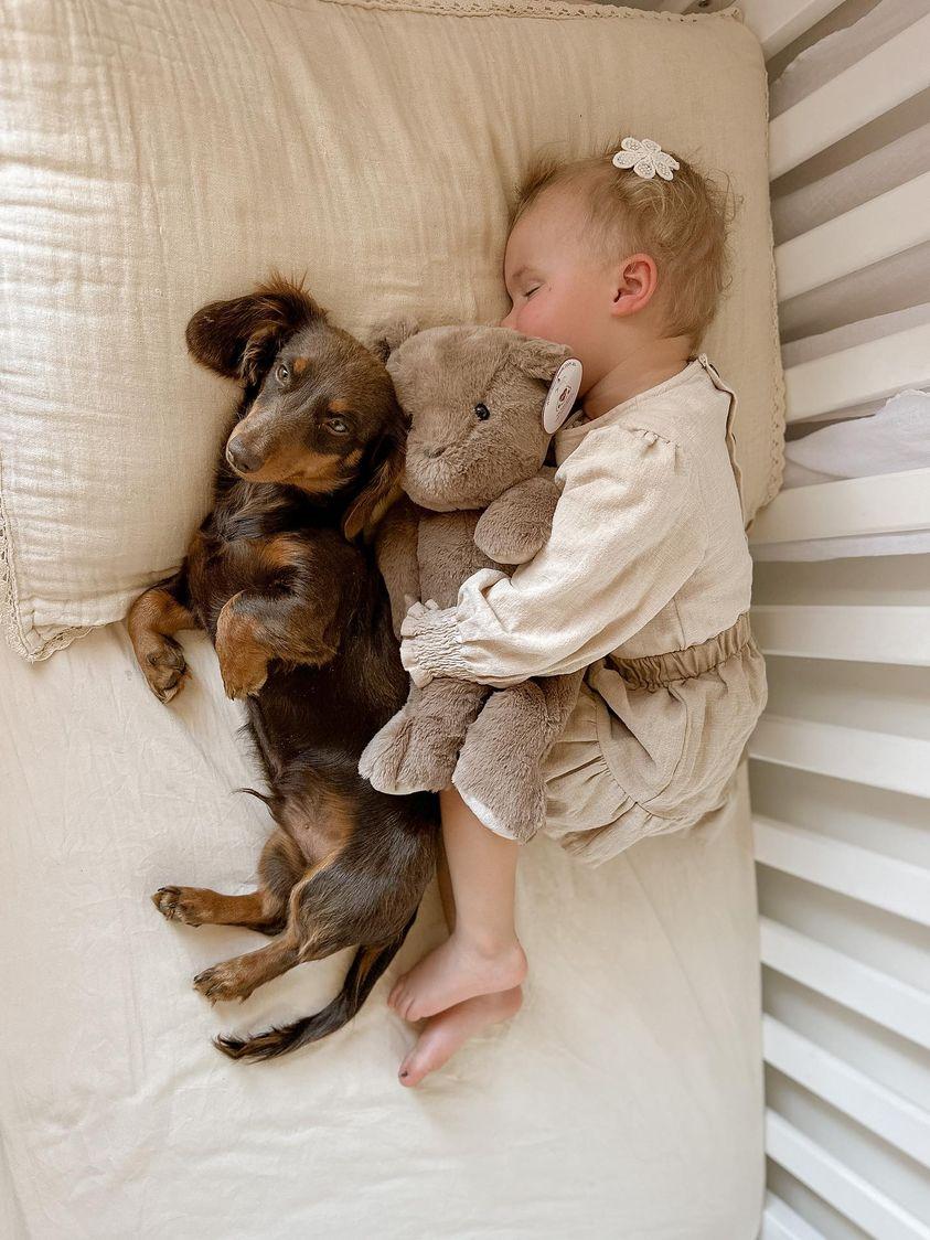 Koda the Heartbeat Bear (Includes 20 Second Heart Module) (Wholesale)