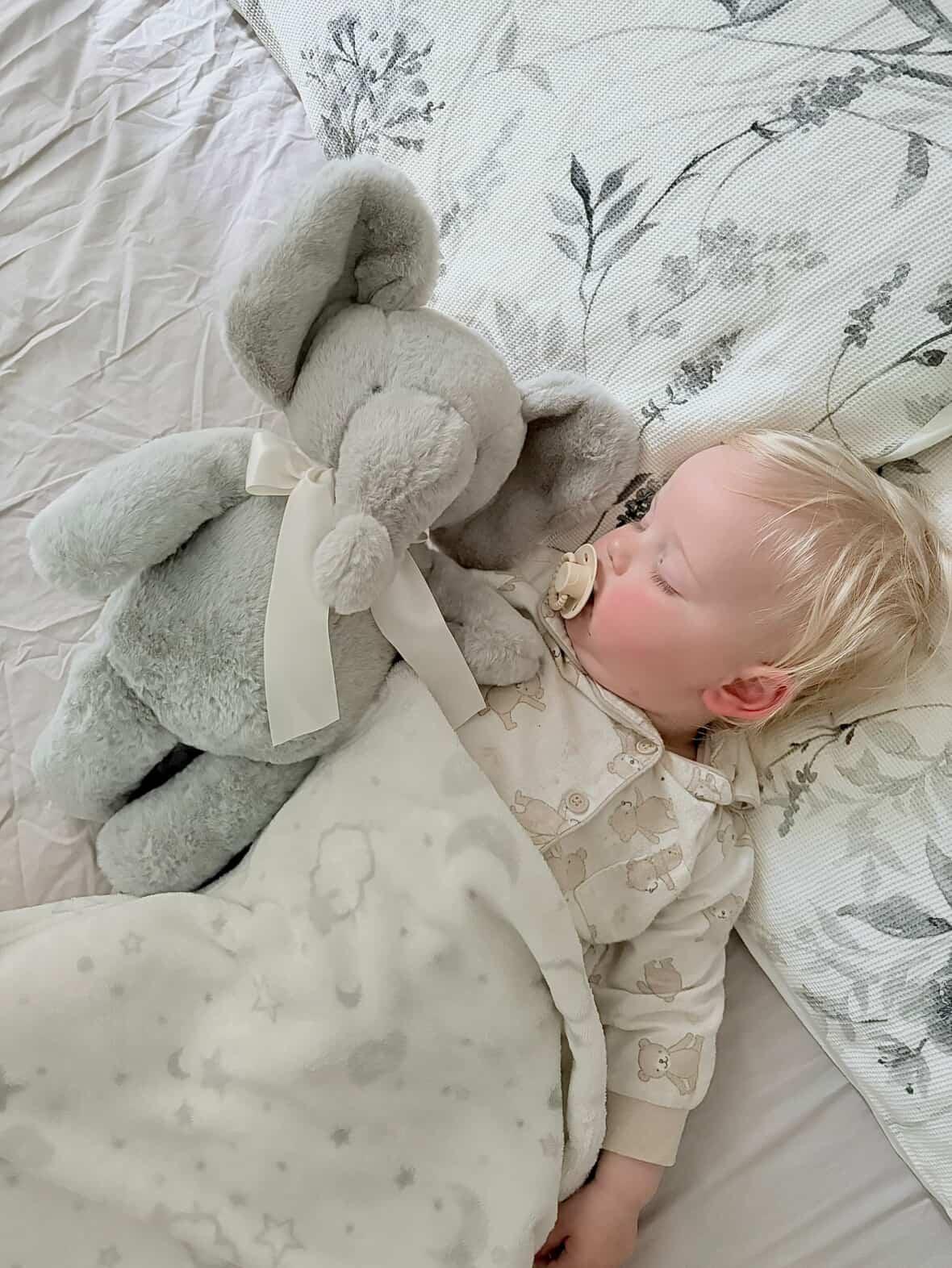 Tembo the Heartbeat Elephant