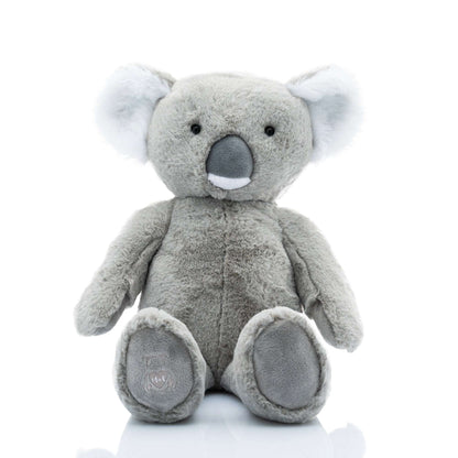 Tyalla heartbeat koala close-up — Baby Beats Australia