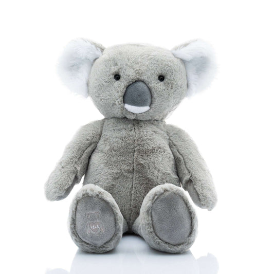 Tyalla heartbeat koala close-up — Baby Beats Australia