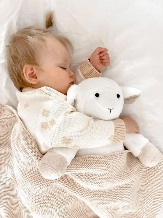 Ditto heartbeat lamb gift box — Baby Beats Australia keepsake